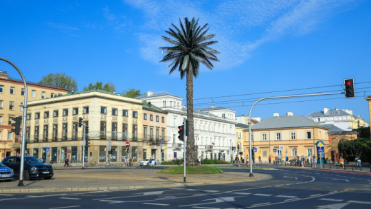 Ostatni remont palmy sfinansowano ze środków Centrum Rzeźby Polskiej w Orońsku pochodzących z budżetu MKiDN. Fot. PAP/Sz. Pulcyn