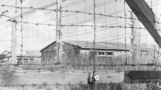 Ogrodzenie KL Stutthof, w tle baraki obozowe. Zdjęcie wykonane 31 maja 1946 r. Fot. PAP/Mikołaj Sprudin