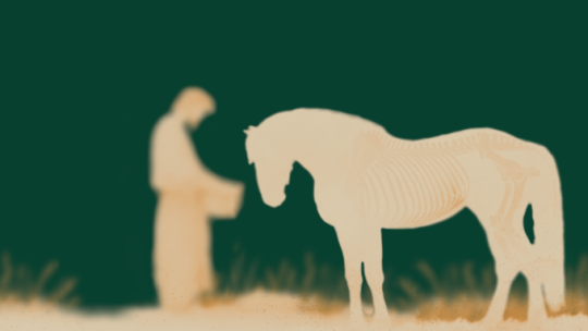 Debata odbędzie się w środę 19 lutego. Fot. MHP