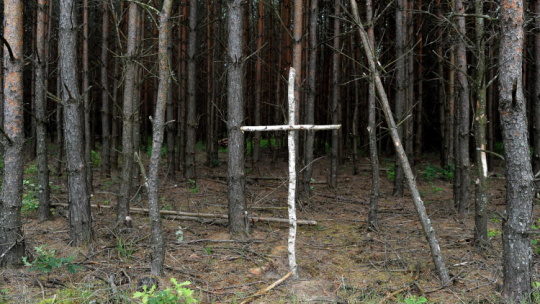 Brzozowy krzyż na skraju lasu przy tzw. trupim polu koło wsi Ostrówki na Ukrainie; W 1943 r. UPA zamordowła tam około 300 Polaków. Fot. PAP/Darek Delmanowicz