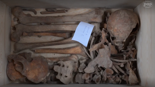 Według antropologa stopień fosylizacji, czyli skostnienia szczątków, wskazuje na XVI-XVIII w. pochówku