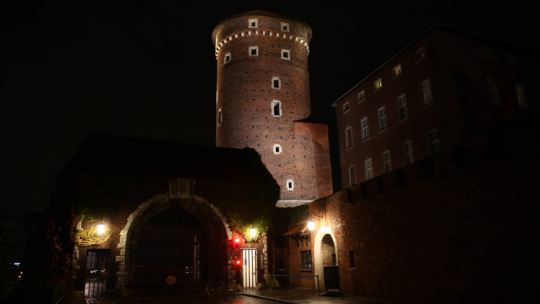 Zamek Królewski na Wawelu nocą. PAP/Łukasz Gągulski