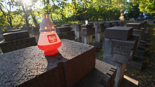 Cmentarz Ofiar Terroru Hitlerowskiego na Zaspie w Gdańsku. Fot. PAP/Andrzej Jackowski