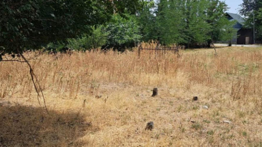 Odnaleziony dawny cmentarz w Błagowieszczance. Fot. MKiDN