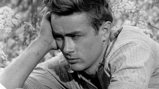 James Dean. Fot. PAP/EPA/Handout
