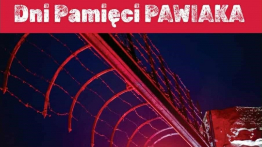 Źródło: organizator