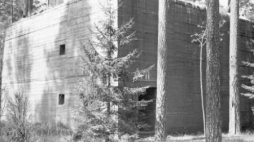 Jeden z bunkrów na terenie Wilczego Szańca. 1946 r. Fot. PAP/J. Baranowski