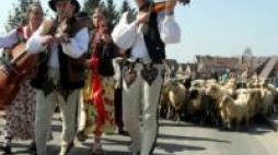 Tradycyjne Święto Bacowskie w Ludźmierzu, rozpoczynające redyk, czyli wypas owiec. Fot. PAP/G. Momot