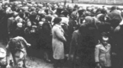 Żydowskie kobiety i dzieci oczekujące na selekcję na rampie w Birkenau 1944 r. Źródło: Muzeum Auschwitz-Birkenau