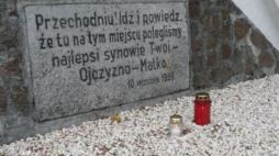 „Zapal znicz pamięci”. Uczniowie i nauczyciele Gimnazjum w Trzemesznie pamiętają o pomniku w Niewolnie. Fot. M. Adamski