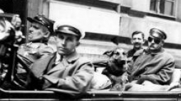 Wyjazd Józefa Piłsudskiego z Warszawy do Sulejówka, w samochodzie widoczny wilczur "Pies". 1929 r. Fot. NAC