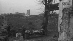 Warta honorowa na gruzach Pawiaka, na zdjęciu widoczny "Wiąz z Pawiaka". 1946.11.01. Fot. PAP/S. Dąbrowiecki