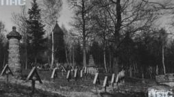 Łużna. Cmentarz wojenny na Pustkach. 1918-1939. Fot. NAC