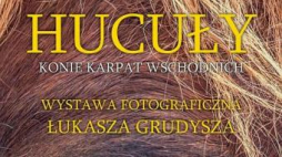 Plakat wystawy "Hucuły – konie Karpat Wschodnich"