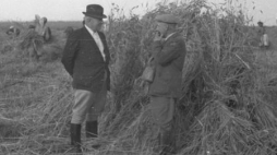 Prace rolne w gospodarstwie osadników na Ziemiach Zachodnich. Dłużewo, 1947.07. Fot. PAP/CAF 