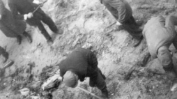 Ekshumacje ciał ofiar zamordowanych przez Niemców w 1939 r. w Piaśnicy. 7-22.10.1946. Źródło: IPN