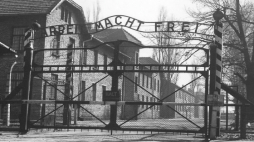 Auschwitz - brama obozu. Fot. Państwowe Muzeum Auschwitz-Birkenau