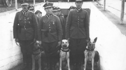 Przewodnicy z wojsk łączności z psami służbowymi Warszawa, 1937 r. Źródło: NAC