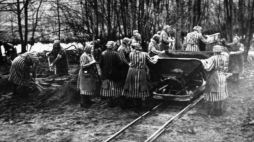 Kobiety w Ravensbrueck. Źródło: Bundesarchiv