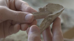 W woj. łódzkim odkryto szczątki żółwia morskiego sprzed 148 mln lat. Źródło: Serwis wideo PAP