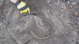 3 tys. przedmiotów wykopali archeolodzy na terenie byłego KL Plaszow. Źródło: serwis wideo PAP