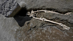 Szkielet mężczyzny, który zginął w czasie ucieczki po wybuchu Wezuwiusza w 79 roku. Fot. PAP/EPA