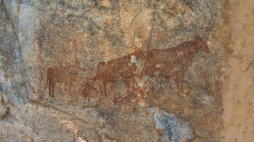 Malowidła ukazujące antylopy eland. Fot. M. Grzelczyk