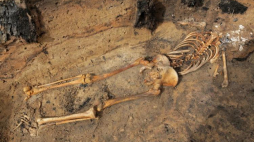 Szkielet znaleziony podczas wykopalisk archeologicznych w XIV-wiecznej osadzie k. Barczewka zwanej "warmińskimi Pompejami". Fot. PAP/T.  Waszczuk