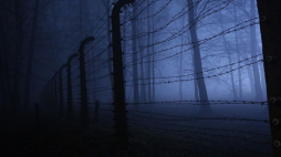 Teren byłego niemieckiego obozu Auschwitz II-Birkenau. Fot. PAP/S. Rozpędzik