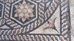 Mozaika odkryta w Aleksandrii. Fot. G.Majcherek/PCMA UW