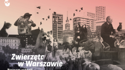 Wystawa „Zwierzęta w Warszawie. Tropem relacji”. Źródło: Muzeum Warszawy