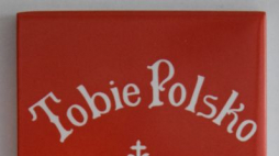 Znak pamięci „Tobie Polsko” na mogiłach powstańców śląskich. Źródło: IPN