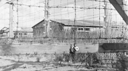 Teren b. niemieckiego obozu koncentracyjnego Stutthof. 1946 r. Fot. PAP/CAF/M. Sprudin