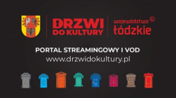 Portal streamingowy i VOD drzwidokultury.pl