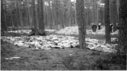 Zdjęcie z ekshumacji ciał zamordowanych przez Niemców w 1939 r. w Piaśnicy. Źródło: IPN 