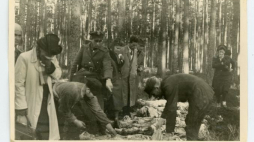 Ekshumacja ofiar zbrodni piasnickiej. fot. M. Syrowatko, 1946 r. (ze zbiorów Muzeum Miasta Gdyni)