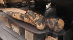 Egipska mumia – jak uważano w 2021 r. ciężarnej kobiety – w Galerii Sztuki Starożytnej Muzeum Narodowego w Warszawie. Fot. PAP/P. Supernak