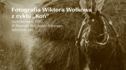 Fotografia Wiktora Wołkowa zabytkiem miesiąca w Muzeum Podlaskim