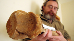 Podczas prac ziemnych w Zamościu w 2009 r. natrafiono na kilkanaście dobrze zachowanych kości mamuta, których wiek określono na ponad 10 tys. lat. Na zdjęciu archeolog Artur Witkowski. PAP/Mirosław Trembecki