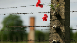 Ogrodzenie obozu Auschwitz. Fot. PAP/J. Praszkiewicz 