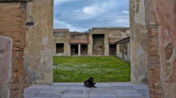 Fragment ruin miasta Pompeje. Fot. PAP/EPA/C. Abbate