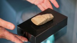 Odnaleziona w maju 2023 r. neolityczna krzemienna siekierka, przekazana do zbiorów Muzeum Historycznego w Legionowie. Fot. PAP/L. Szymański