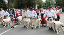 Korowód uczestników 55. Międzynarodowego Festiwalu Folkloru Ziem Górskich na ulicach Zakopanego. Fot. PAP/G. Momot