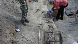 Chełm, dawne ogrody biskupów unickich, pochówki w trakcie badań archeologicznych. Fot. archiwum Delegatury WUOZ w Chełmie. Źródło: Wojewódzki Urząd Ochrony Zabytków w Lublinie
