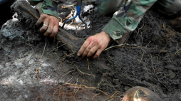 Archeolog wydobywa ze zbiorowej mogiły ludzkie kości znalezione na tzw. trupim polu w rejonie wsi Ostrówki na Ukrainie podczas ekshumacji w 2011 r. Pogrzebano tam szczątki około 300 Polaków, którzy w 1943 roku zginęli z rąk UPA. Fot. PAP/D. Delmanowicz