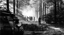 1 Dywizja Pancerna w Holandii: grupa żołnierzy w lesie. na pierwszym planie czołg "Sherman". Fot. NAC