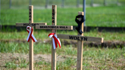 Drewniane krzyże upamiętniające Polaków zamordowanych na Wołyniu. PAP/Darek Delmanowicz