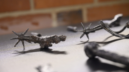 Artefakty odnalezione podczas prac archeologicznych na Górze Przemysła zaprezentowane podczas konferencji prasowej w Muzeum Sztuk Użytkowych w Poznaniu. Fot. PAP/J. Kaczmarczyk