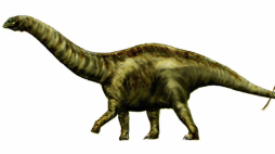 Apatozaur, rekonstrukcja wyglądu żyjącego 150 mln lat temu dinozaura, fot. Wikipedia