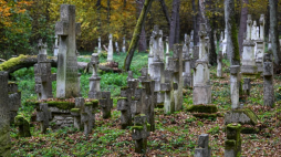 Greckokatolicki cmentarz w Starym Bruśnie. Fot. PAP/D. Delmanowicz